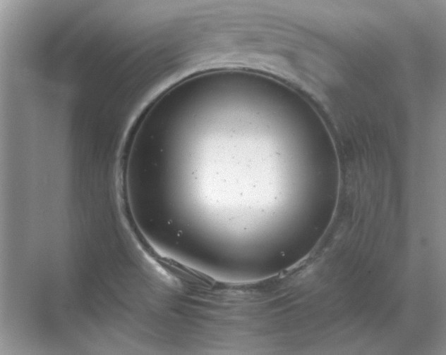 X0000070431517200606161450