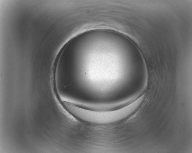 X0000070431518200606161450