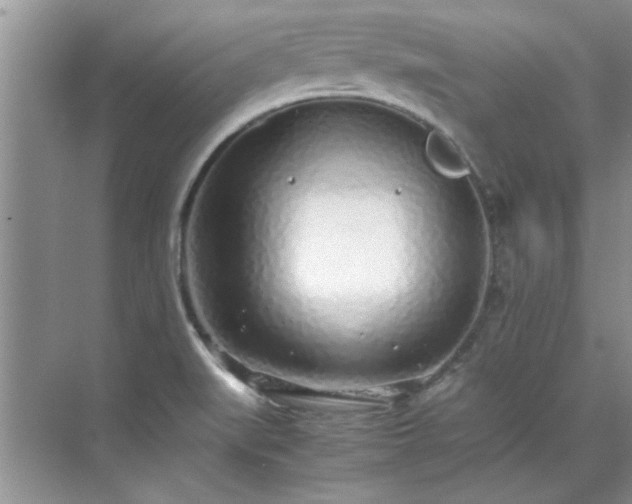 X0000070431519200606161450