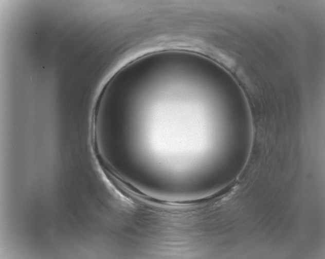 X0000070431520200606161450