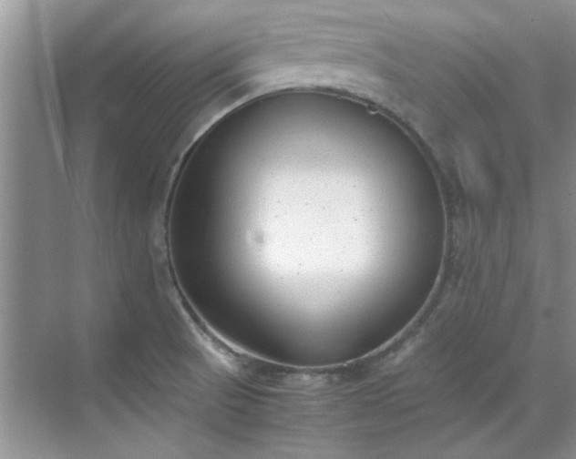 X0000070431521200606161450