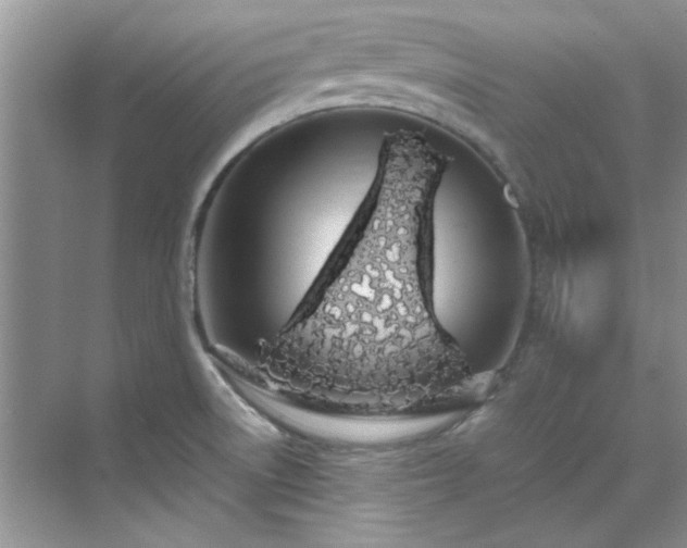 X0000070431522200606161451