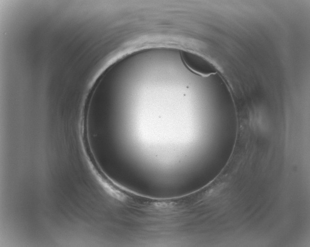 X0000070431523200606161451