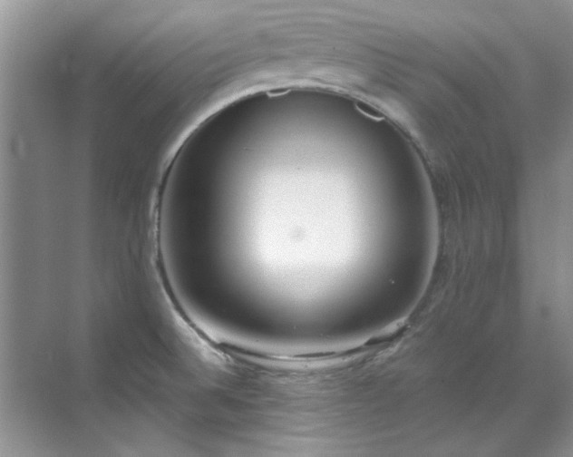 X0000070431524200606161451