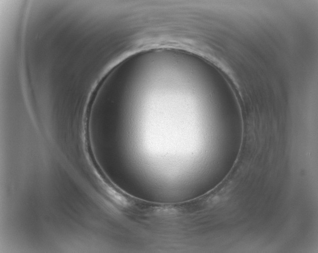 X0000070431525200606161451