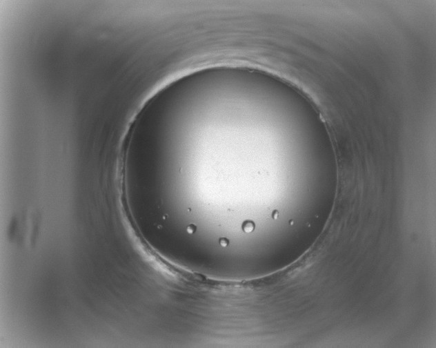 X0000070431526200606161451