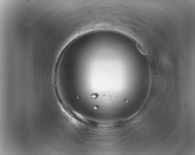 X0000070431527200606161451