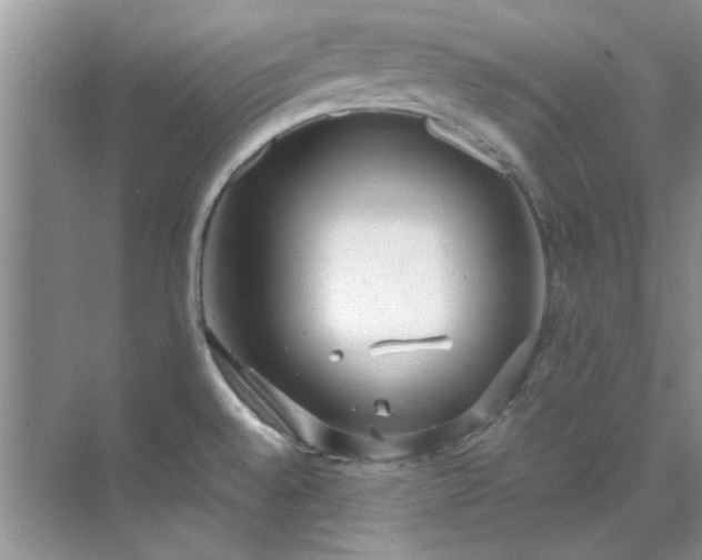 X0000070431528200606161451