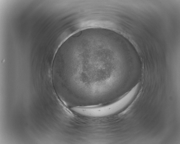 X0000070431529200606161451