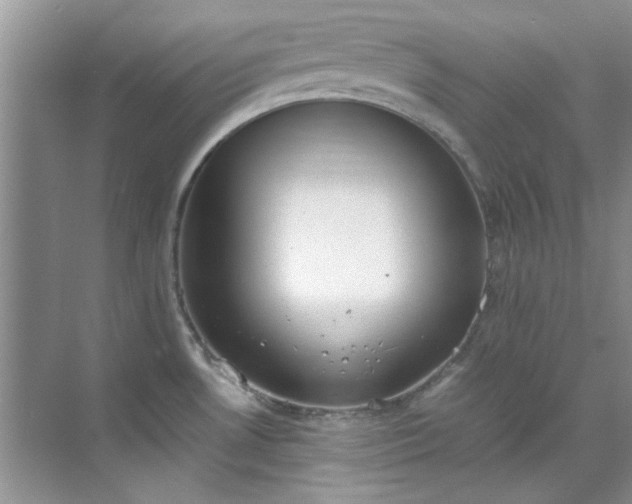 X0000070431530200606161451