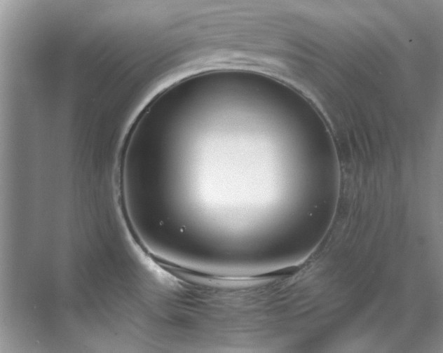 X0000070431531200606161451