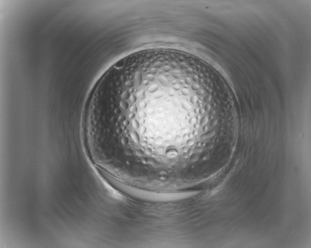 X0000070431533200606161451