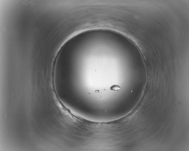 X0000070431534200606161451