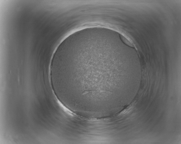 X0000070431535200606161451