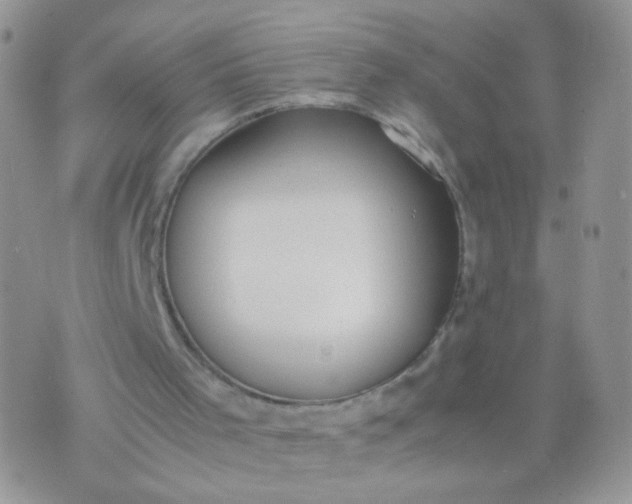 X0000070430001200606231929