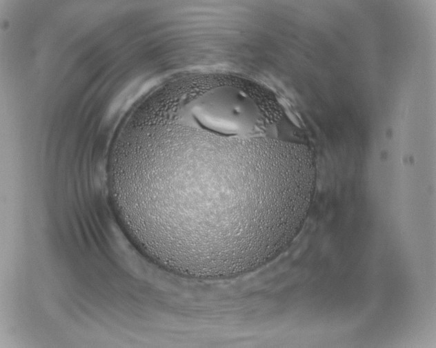 X0000070430002200606231929