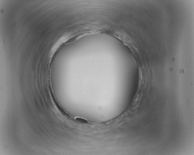 X0000070430003200606231929