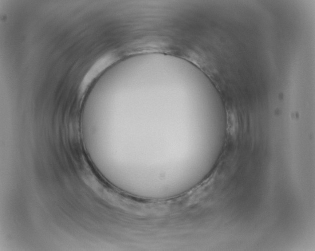 X0000070430004200606231929