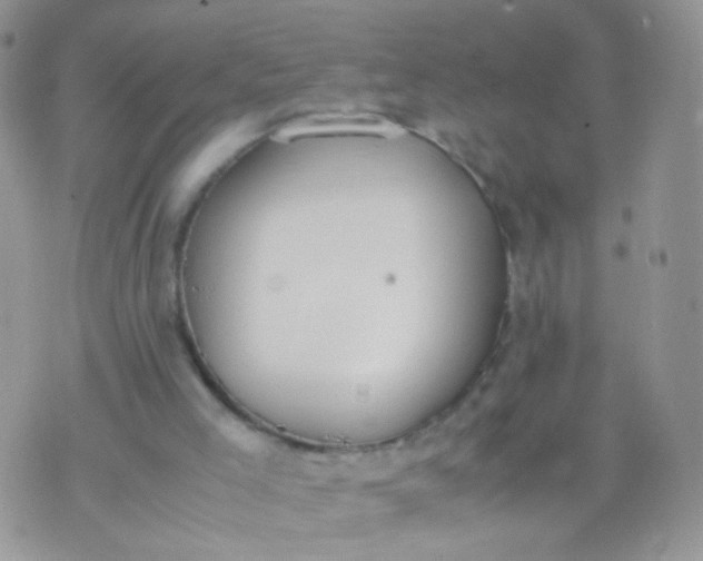 X0000070430005200606231929