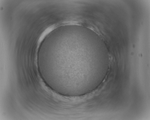 X0000070430006200606231929