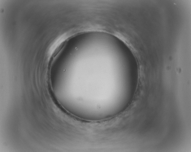 X0000070430007200606231929