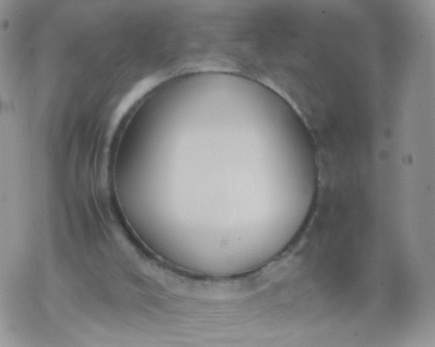 X0000070430008200606231929