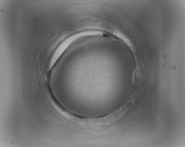 X0000070430009200606231929