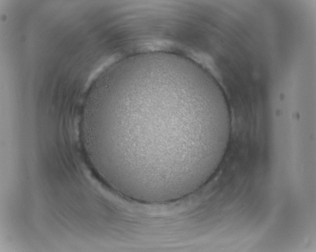 X0000070430010200606231929