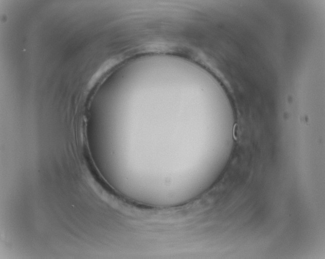 X0000070430011200606231929