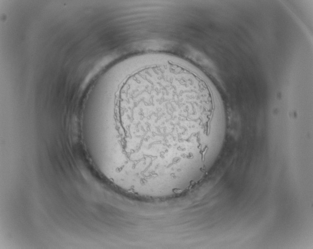 X0000070430012200606231929