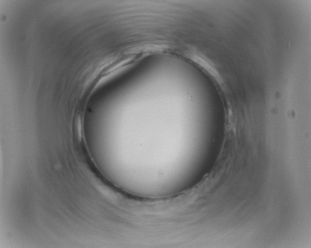 X0000070430013200606231929