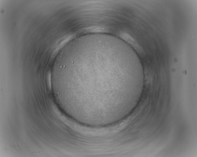 X0000070430014200606231929