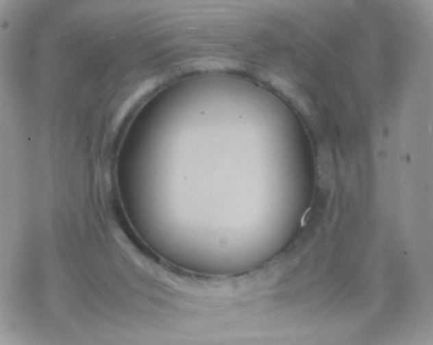 X0000070430015200606231929