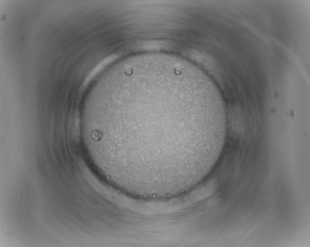 X0000070430016200606231929