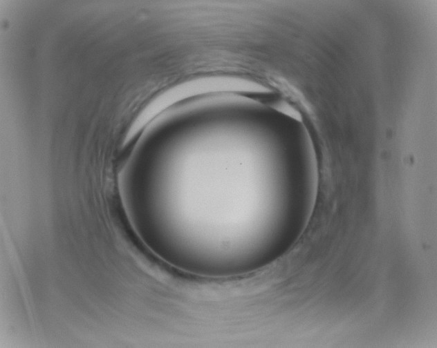 X0000070430017200606231929