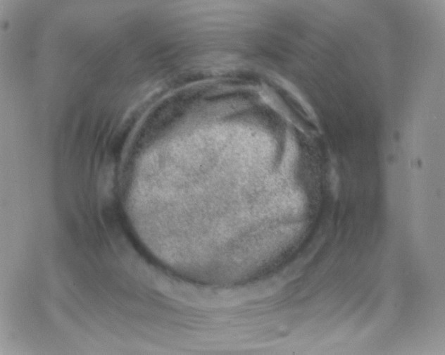 X0000070430018200606231929