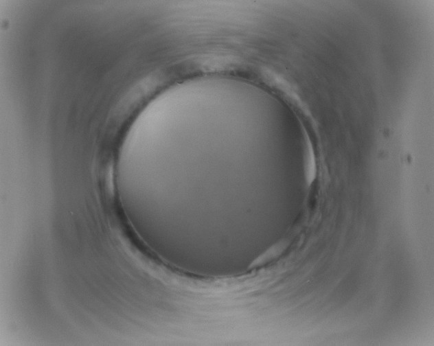 X0000070430019200606231929