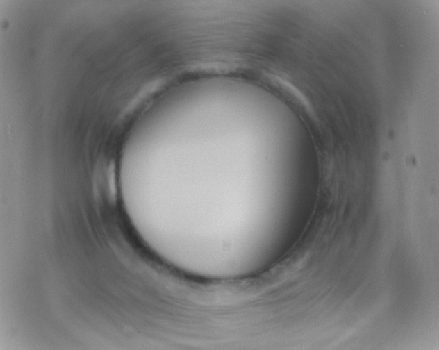 X0000070430020200606231929