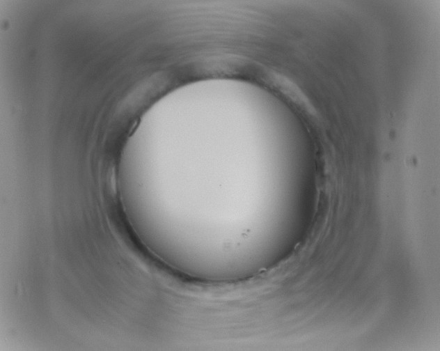 X0000070430021200606231929