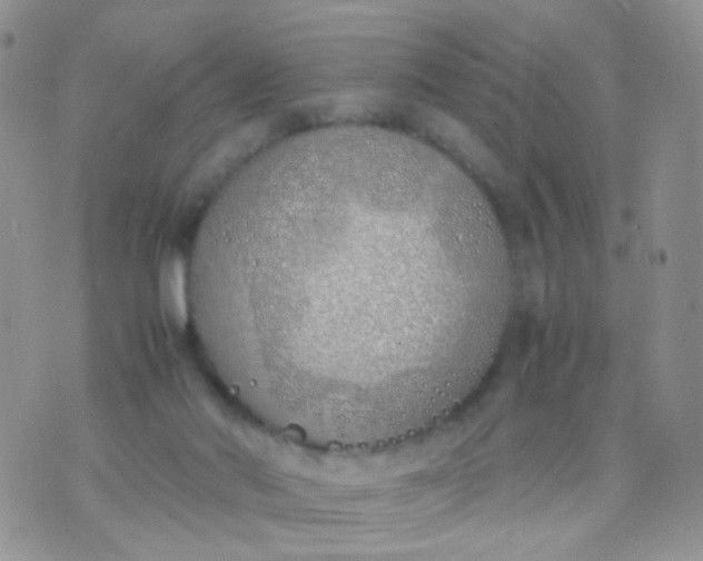 X0000070430022200606231929