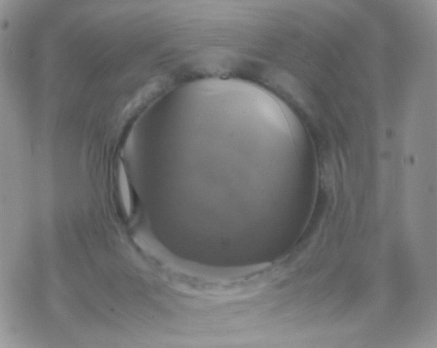 X0000070430023200606231929