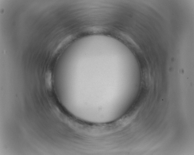 X0000070430024200606231929