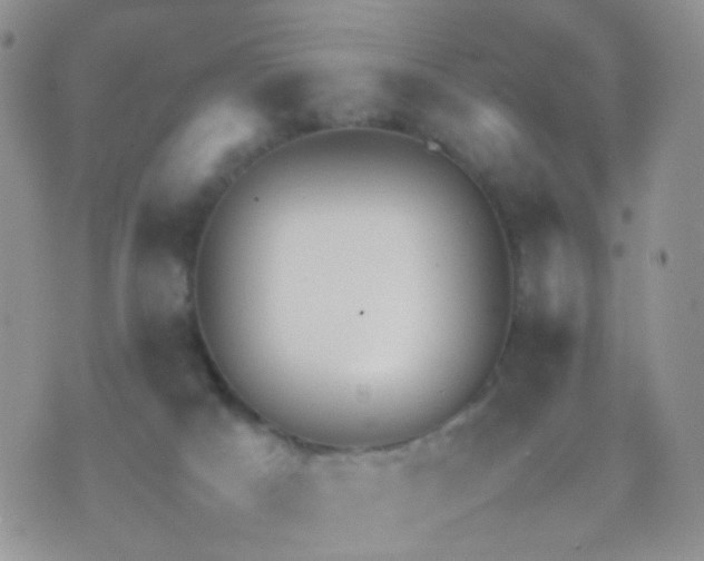 X0000070430025200606231929