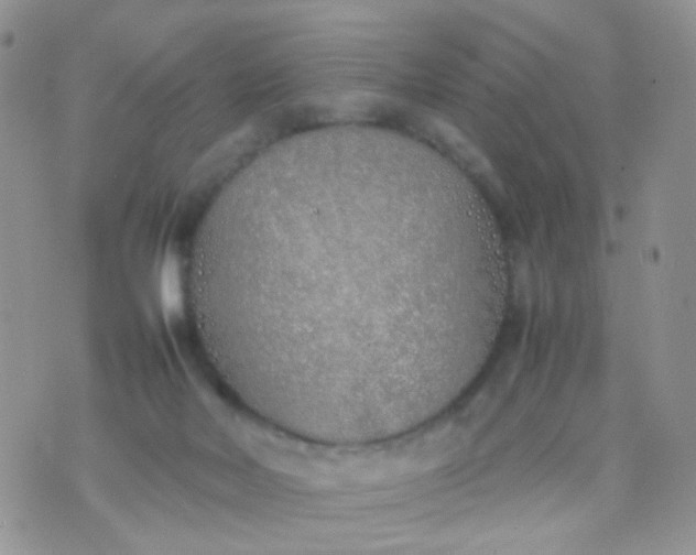 X0000070430026200606231929