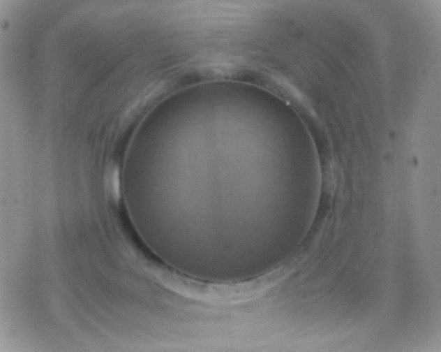 X0000070430027200606231929