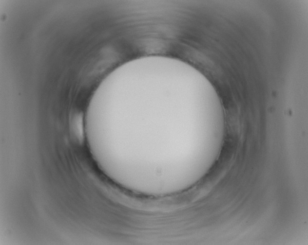 X0000070430028200606231929