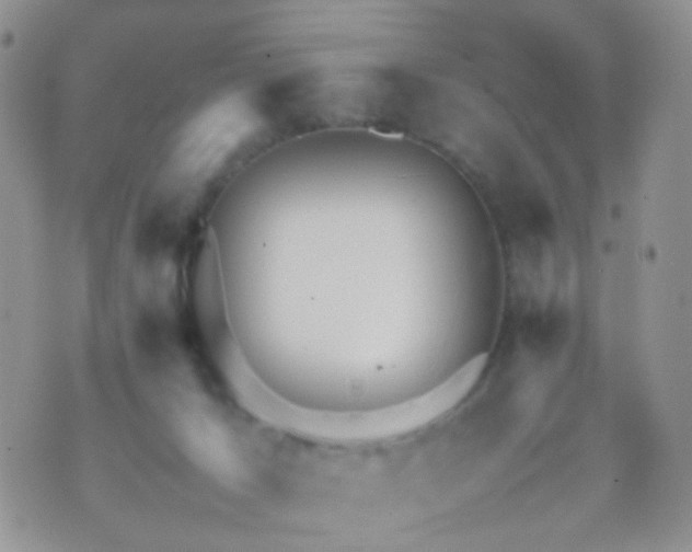 X0000070430029200606231929