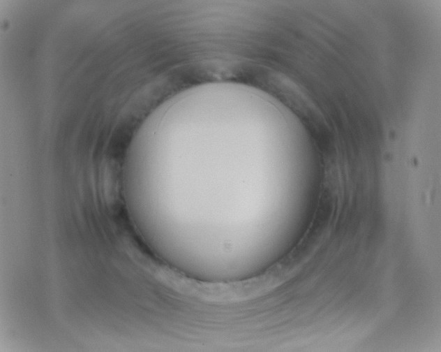 X0000070430030200606231929