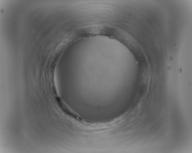 X0000070430031200606231929