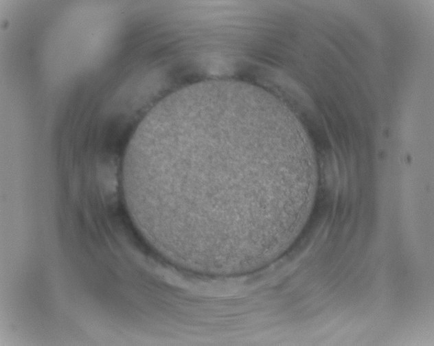 X0000070430032200606231929